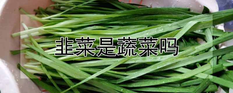 韭菜是蔬菜嗎