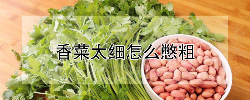 香菜太細怎麼憋粗