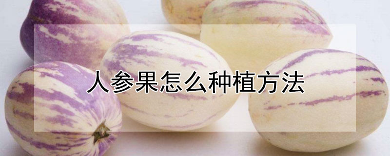 人參果怎麼種植方法