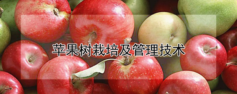 蘋果樹栽培及管理技術