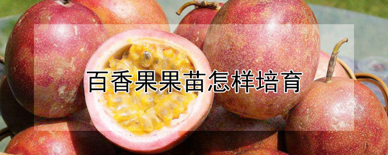 百香果果苗怎樣培育