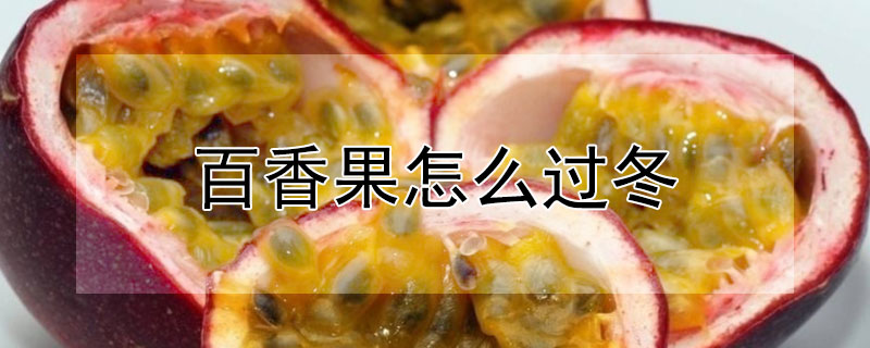 百香果怎麼過冬