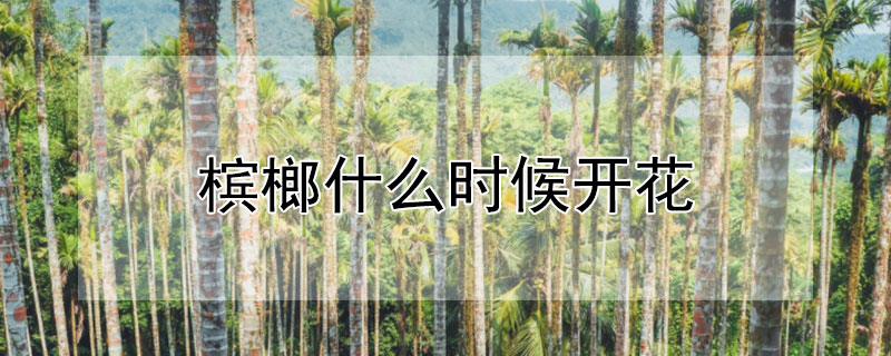 檳榔什麼時候開花