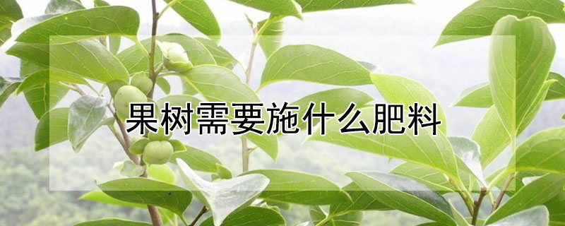 果樹需要施什麼肥料