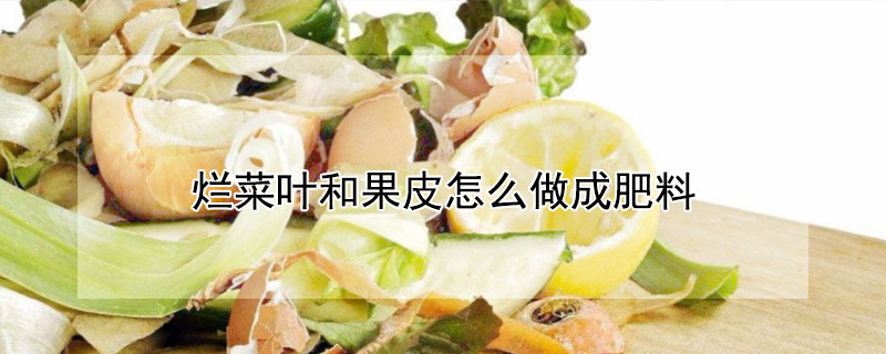 爛菜葉和果皮怎麼做成肥料