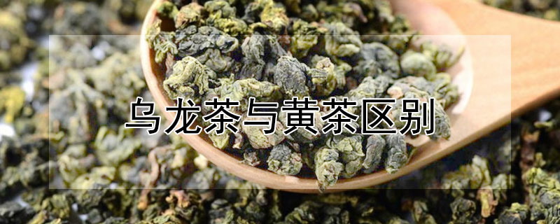 烏龍茶與黃茶區別