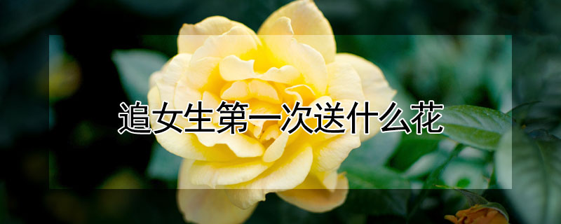 追女生第一次送什麼花