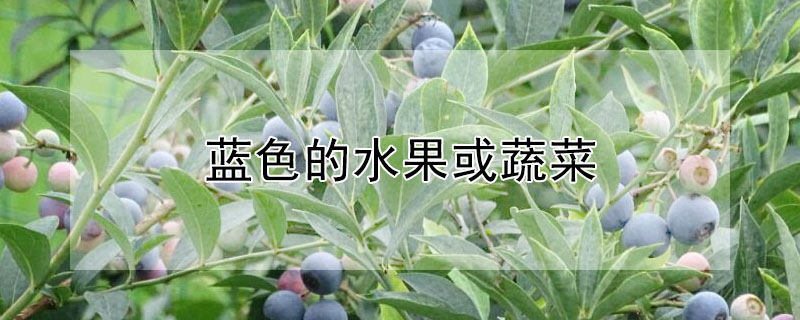 藍色的水果或蔬菜