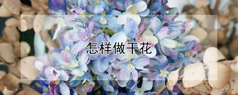 怎樣做幹花