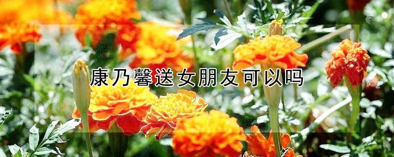 康乃馨送女朋友可以嗎