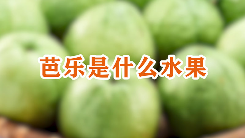 芭樂是什麼水果