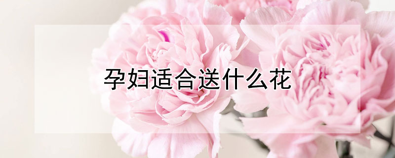 孕婦適合送什麼花