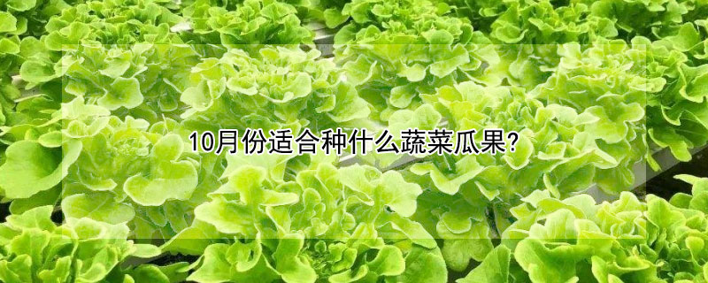 10月份適合種什麼蔬菜瓜果?