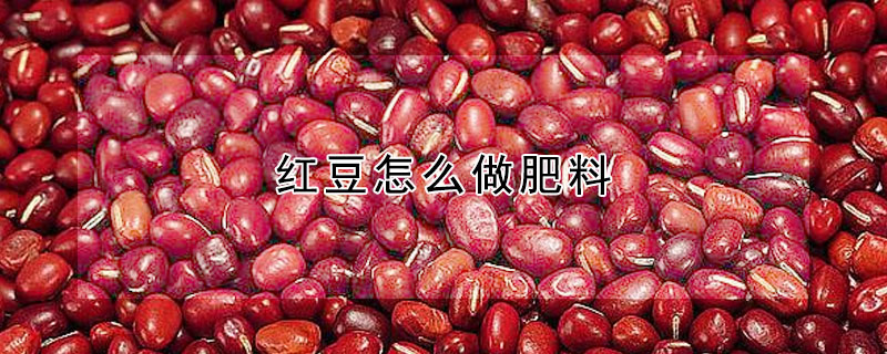 紅豆怎麼做肥料