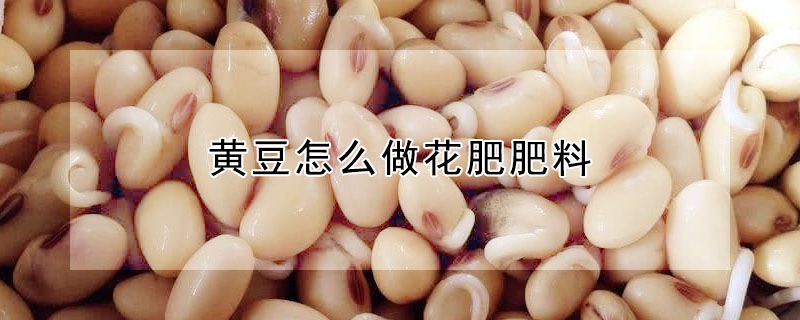 黃豆怎麼做花肥肥料