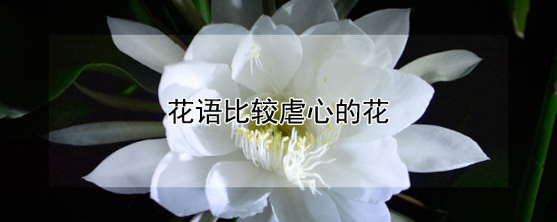 花語比較虐心的花