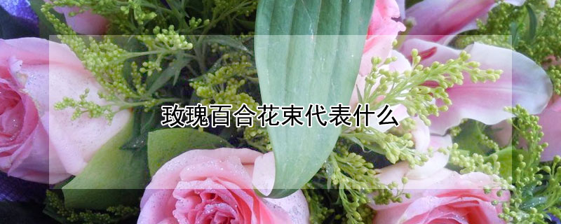 玫瑰百合花束代表什麼