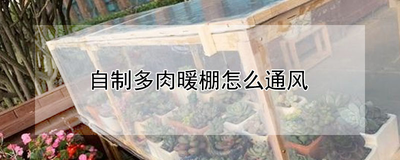 自製多肉暖棚怎麼通風