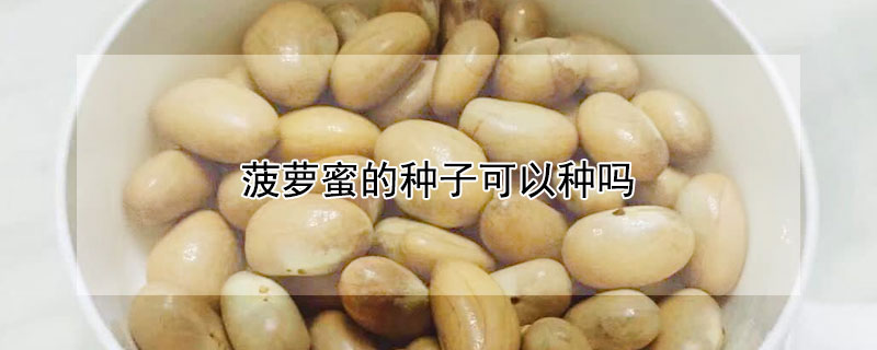 菠蘿蜜的種子可以種嗎