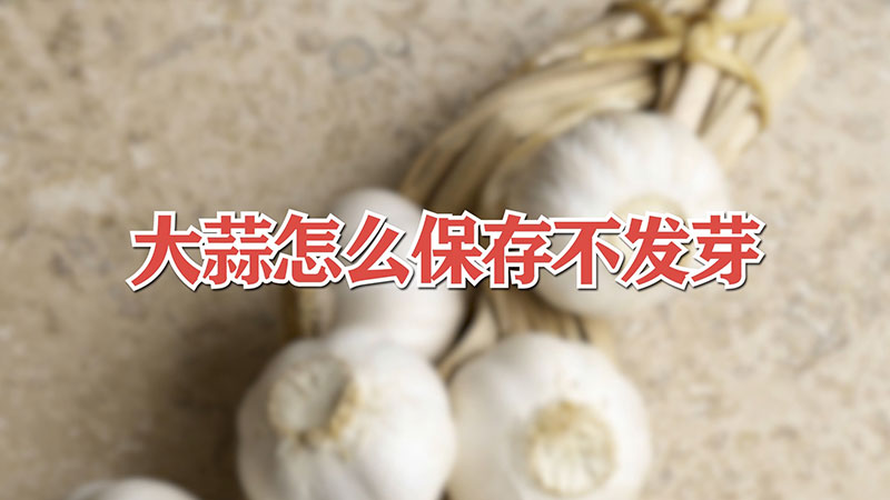 大蒜怎麼保存不發芽