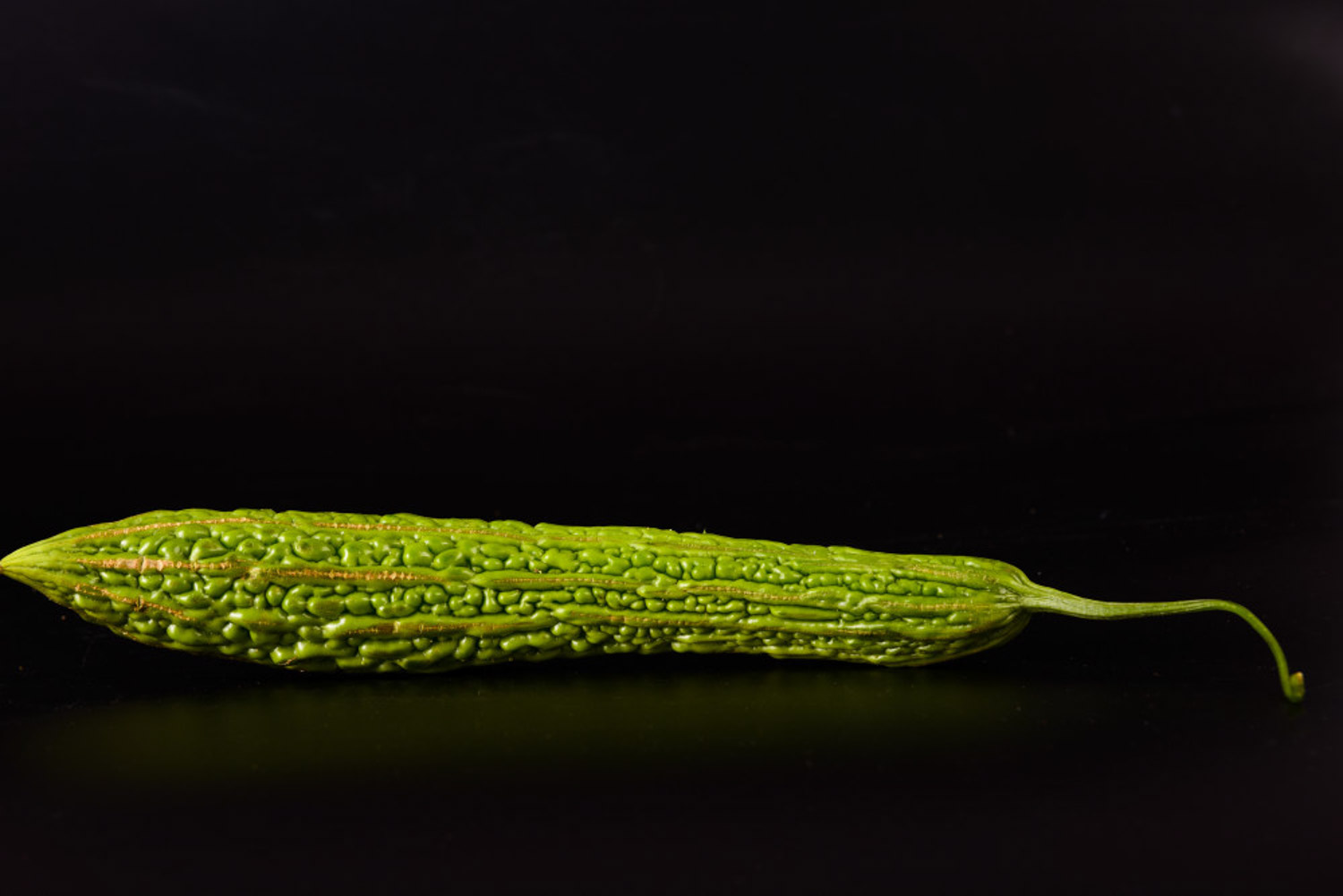 陽台種植苦瓜的方法