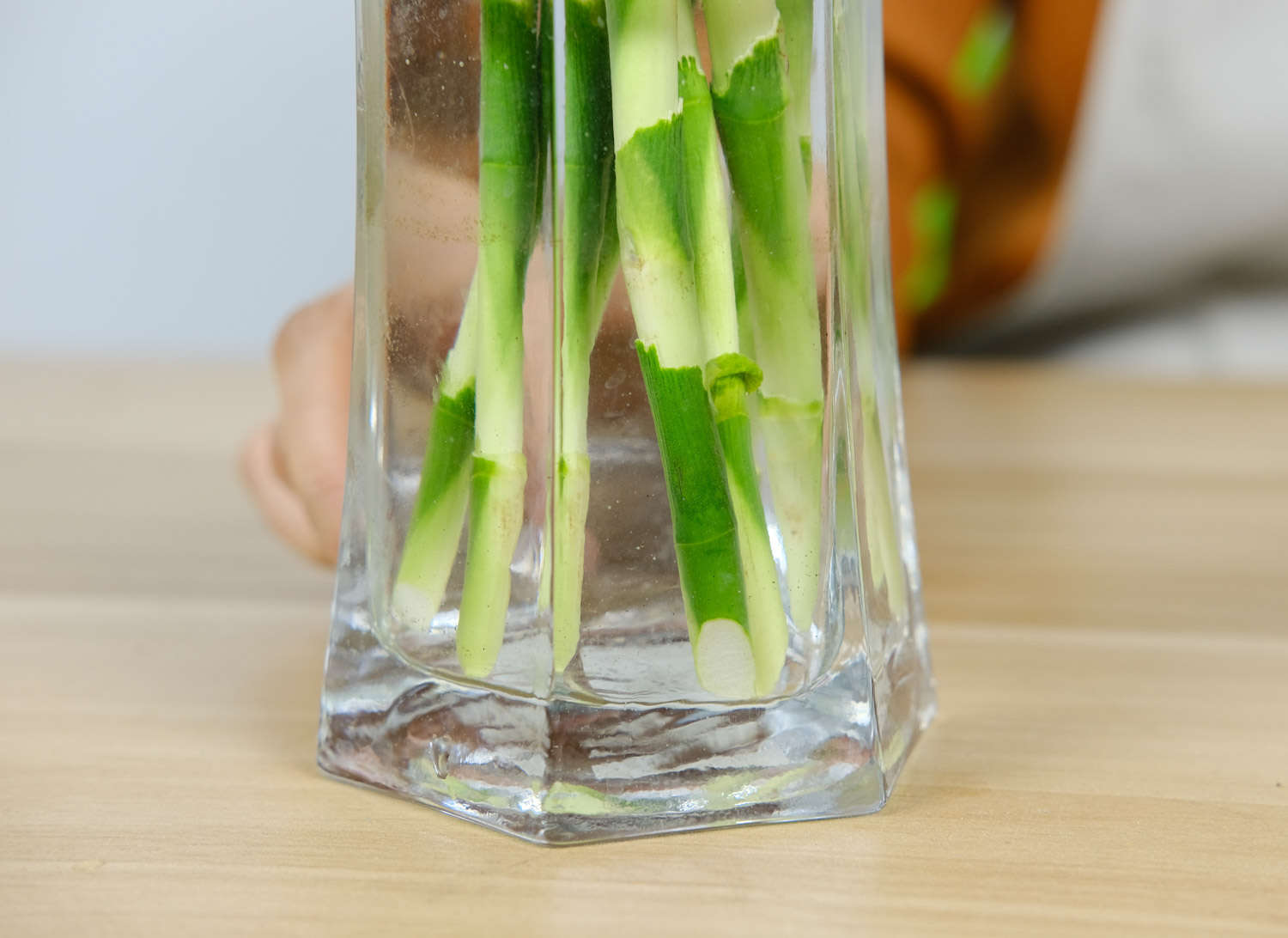 水養富貴竹發黃怎麼解決，怎麼處理