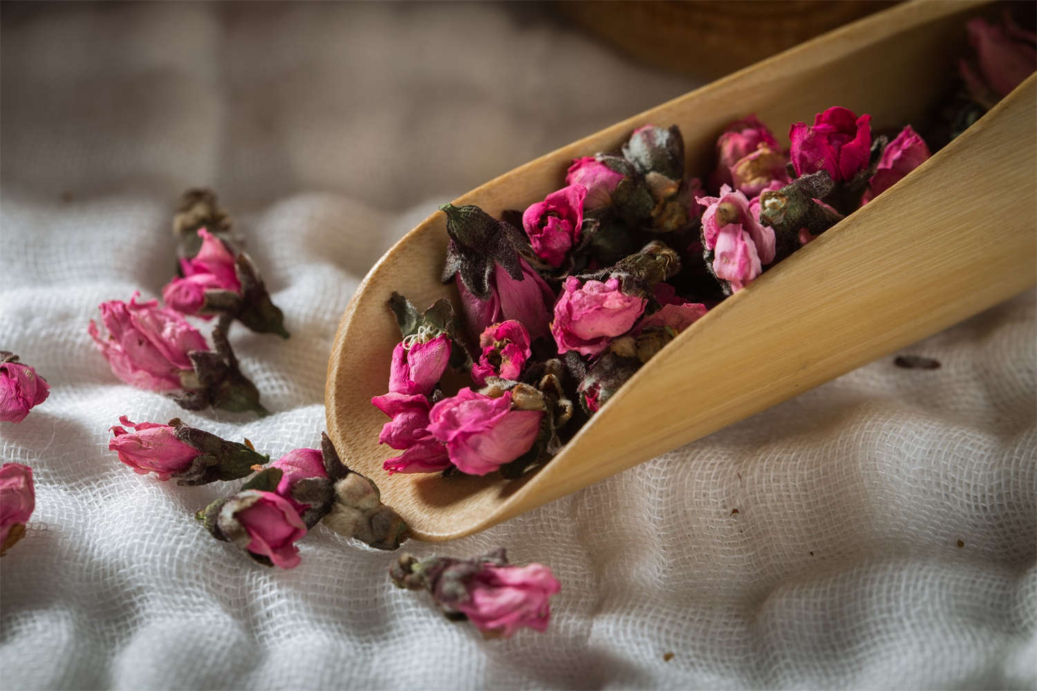 盆栽玫瑰花葉子發黃怎麼解決，怎麼處理