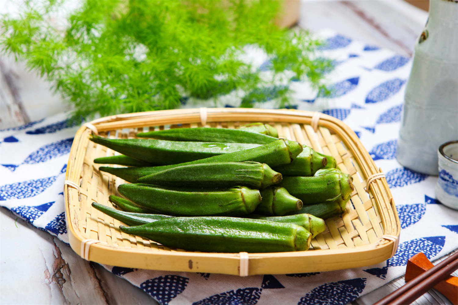 秋葵生蟲了怎麼解決，怎麼處理，秋葵長了蚜蟲怎麼處理