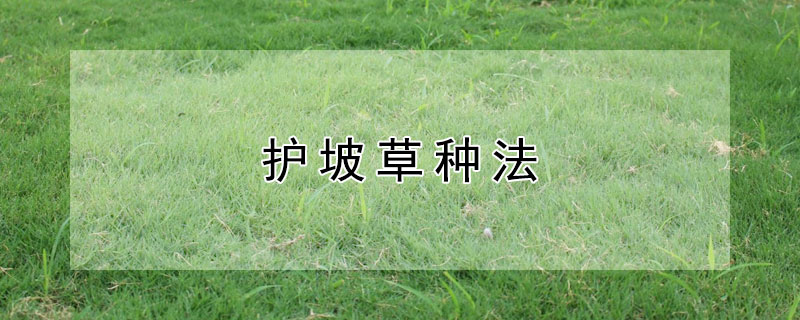 護坡草種法