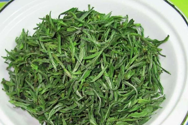 黃山毛峰屬於什麼茶