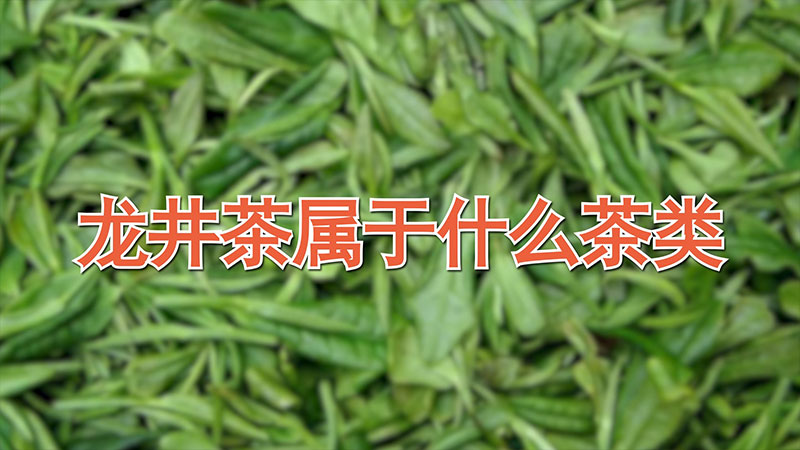 龍井茶屬於什麼茶類