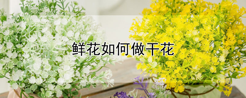 鮮花如何做幹花