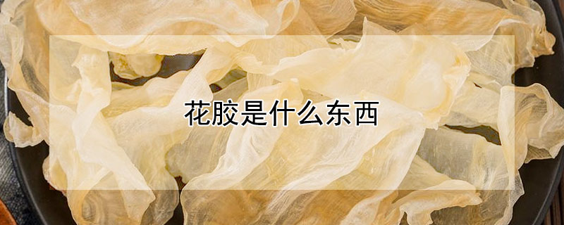 花膠是什麼東西