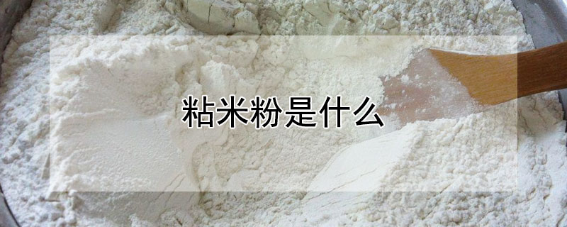 粘米粉是什麼