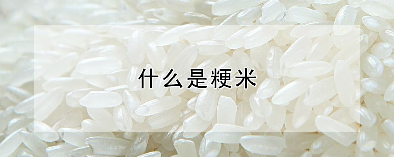 什麼是粳米