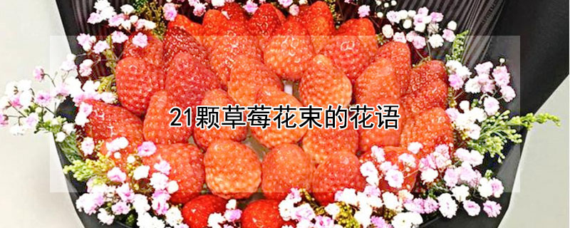 21顆草莓花束的花語