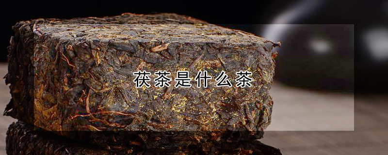 茯茶是什麼茶