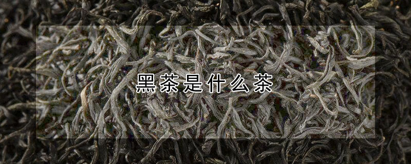 黑茶是什麼茶