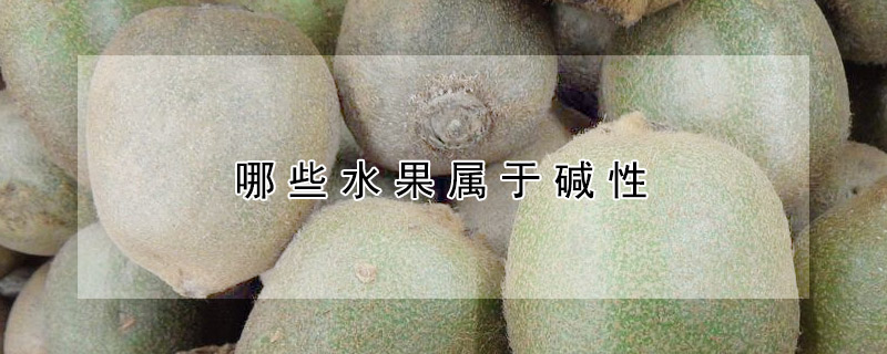 哪些水果屬於堿性