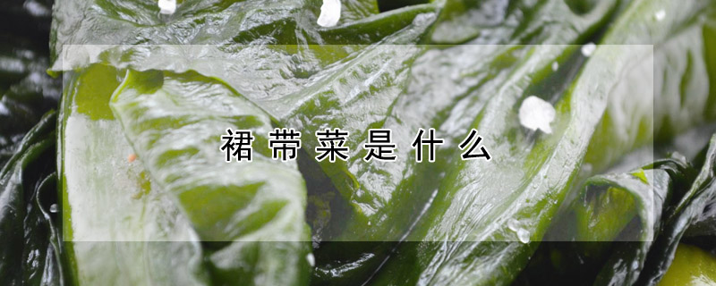 裙帶菜是什麼