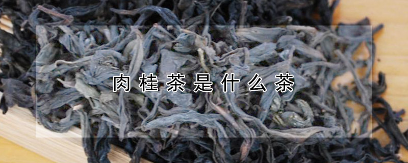 肉桂茶是什麼茶