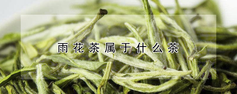 雨花茶屬於什麼茶