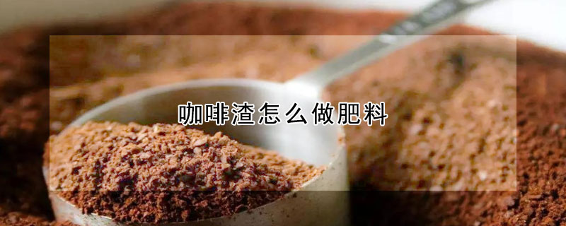 咖啡渣怎麼做肥料