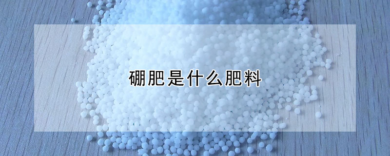 硼肥是什麼肥料