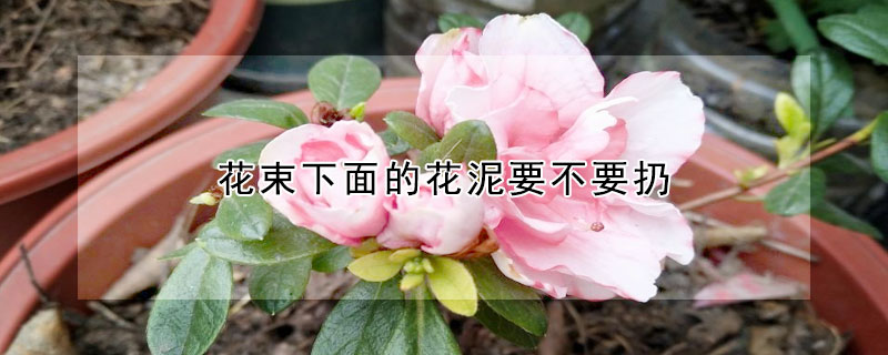 花束下麵的花泥要不要扔