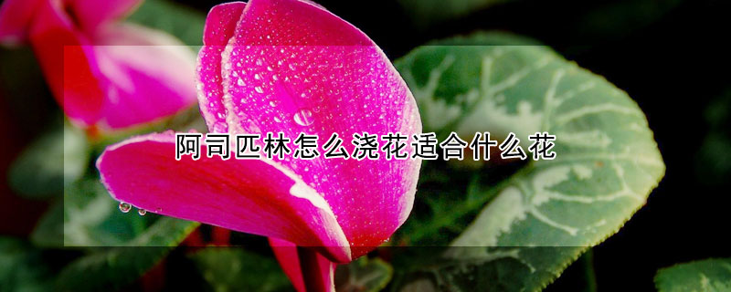 阿司匹林怎麼澆花適合什麼花