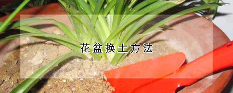 花盆換土方法