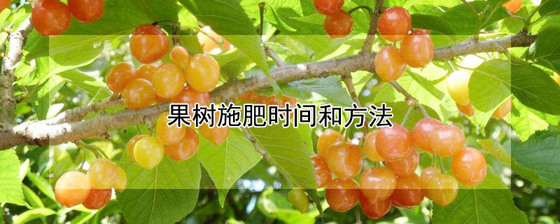 果樹施肥時間和方法