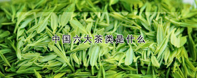 中國六大茶類是什麼