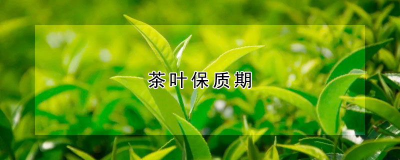 茶葉保質期